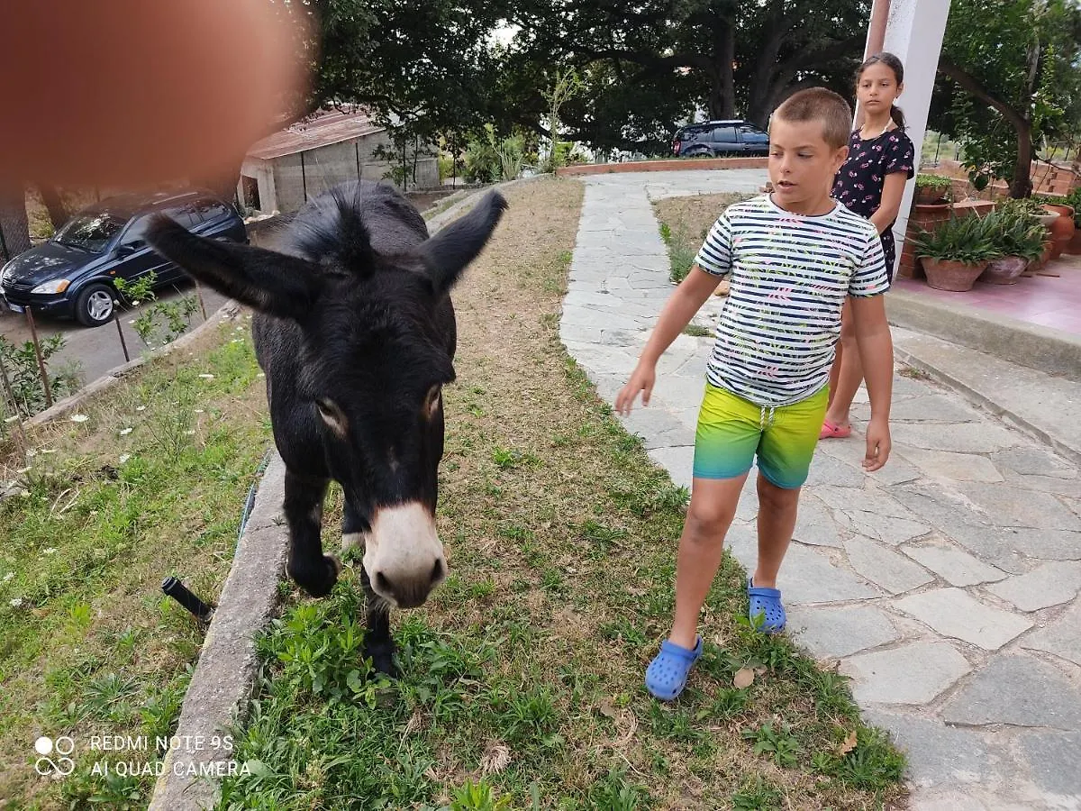 La Gallina Nel Castello Citr Oo9002-Beb Oo11 Albenga Italia