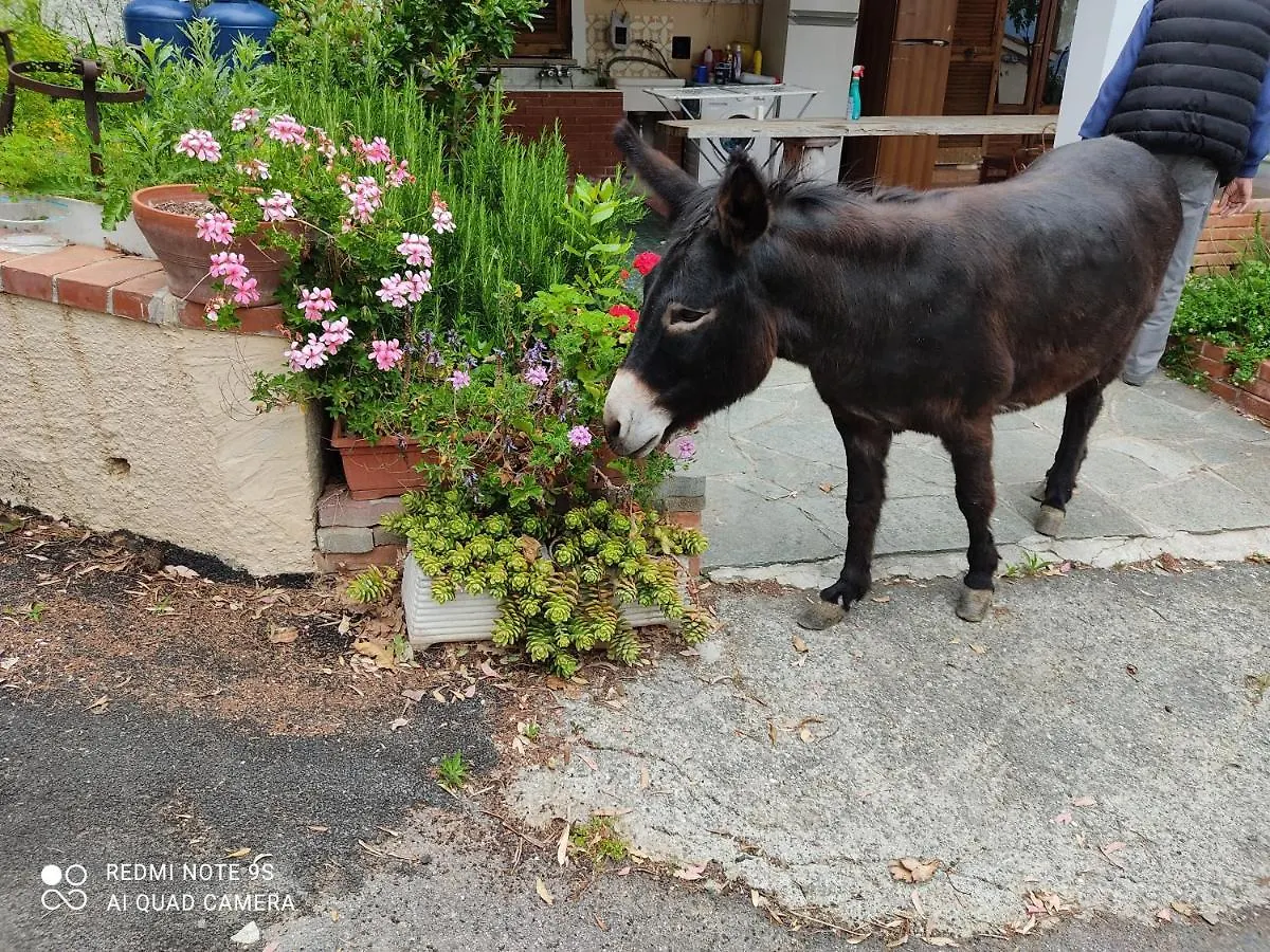 La Gallina Nel Castello Citr Oo9002-Beb Oo11 Albenga Bed and breakfast