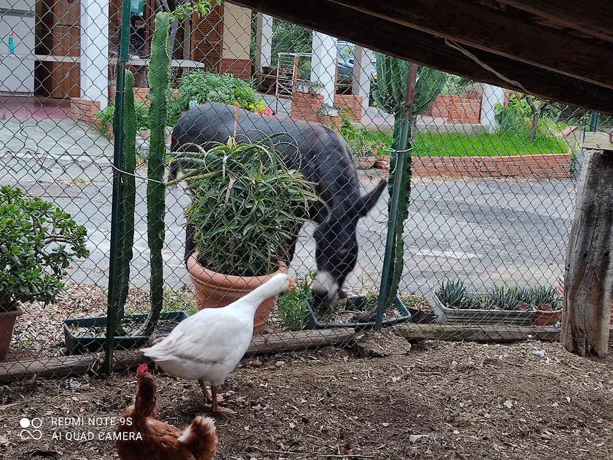 La Gallina Nel Castello Citr Oo9002-Beb Oo11 Albenga 2*,  Italia