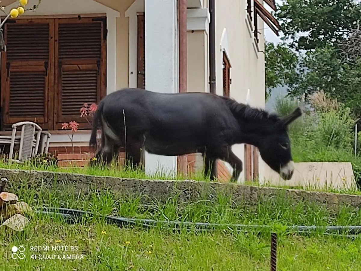 La Gallina Nel Castello Citr Oo9002-Beb Oo11 Albenga Bed and breakfast