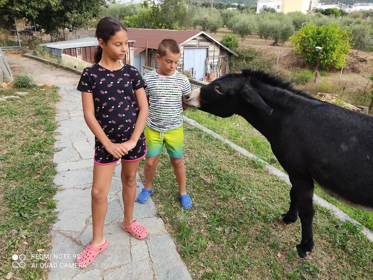 La Gallina Nel Castello Citr Oo9002-Beb Oo11 Albenga